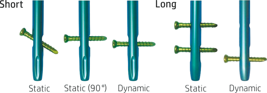 Several Distal Locking Options-Photoroom