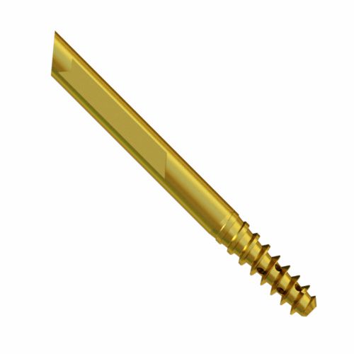Lag-Screw-for-TFA-Nail